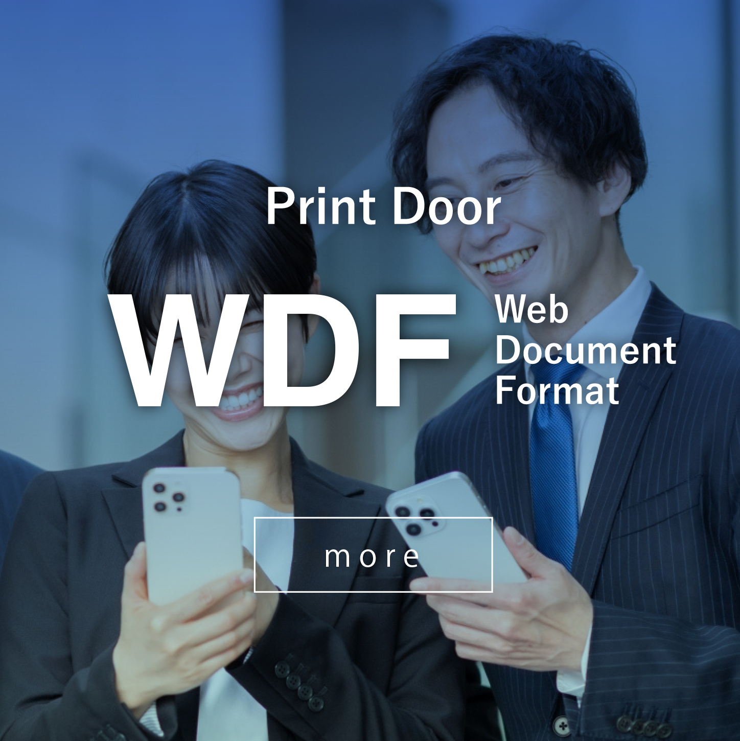 WDF TOP画像 スマホ用